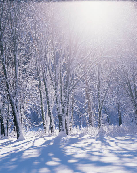 clipart of winter scenes - photo #22