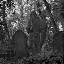 Graveyard angel 1